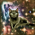 Golden Black Cat Among the Stars