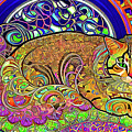 Psychedelic Cat